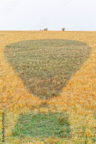 Hot Air Balloon Shadow on Safari