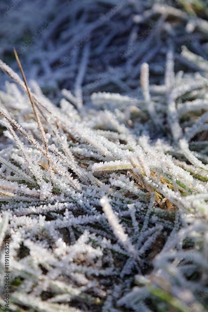 Macro image of grass covered in ice crystals, Derbyshire England
Macro image of grass covered in ice crystals, Derbyshire England