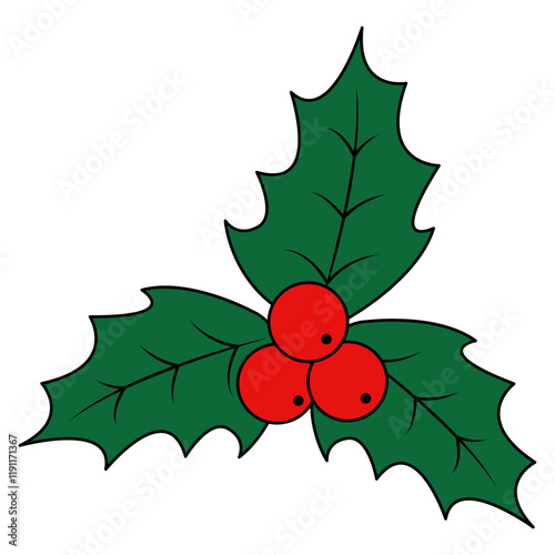 Christmas Holly Berries Illustration