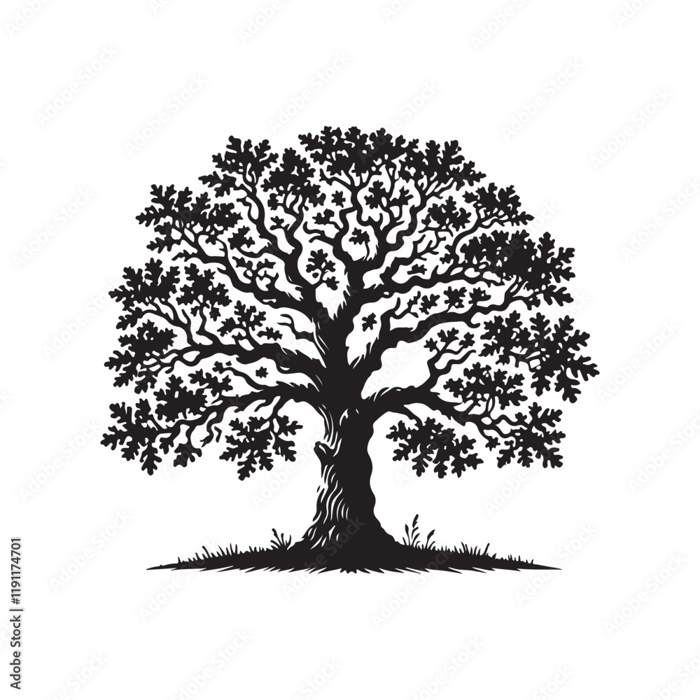 Fototapeta premium Oak tree silhouette black fill vector on white background