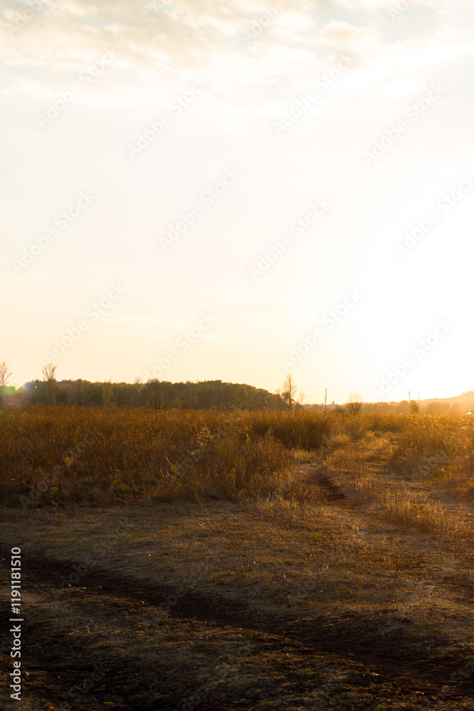 Orange field in autumn at sunset. Boguchar village. Orange field in autumn at sunset. Boguchar village.