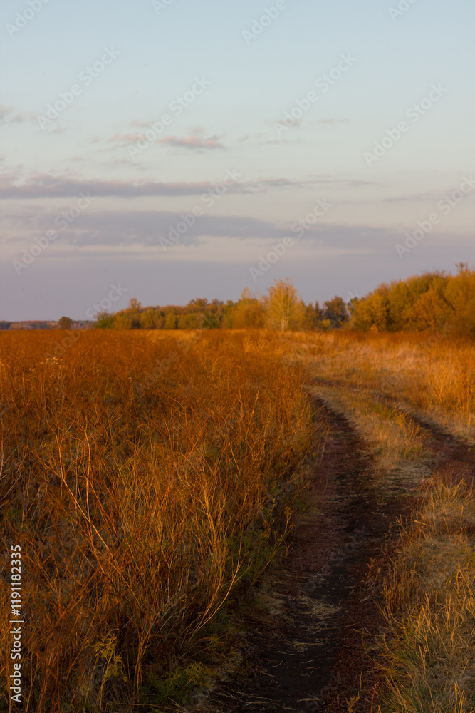 Orange field in autumn at sunset. Boguchar village. Orange field in autumn at sunset. Boguchar village.