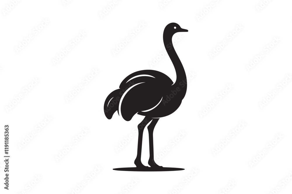Fototapeta premium Minimal ostrich bird vector silhouette 