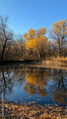 Tranquil Autumn Scene with Reflections in Calm Water Surface