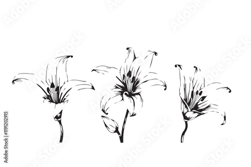 Lily Bloom Hand-drawn Ink Art Sticker Set, Elegant Floral Design for Home Decoration