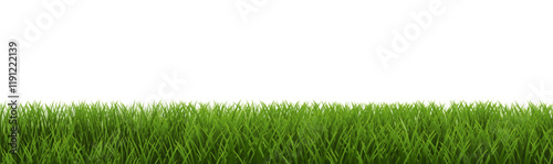 Green Frame Border And White Background