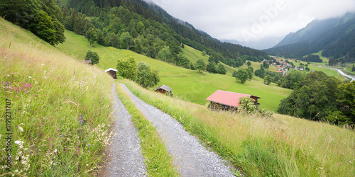 flower meadow beside hiking trail to Monbiel village, near Klosters. landscape Prattigau switzerland canton grisons photo