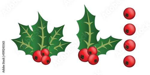 Holly berry leaves Christmas decoration isolated on white background