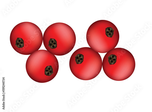 Holly berry leaves Christmas decoration isolated on white background