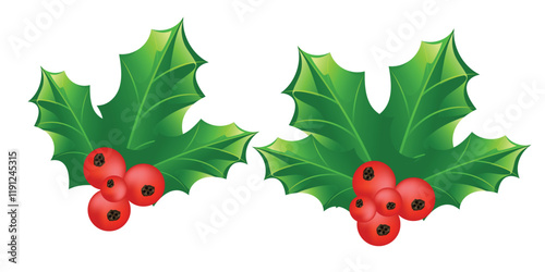 Holly berry leaves Christmas decoration isolated on white background