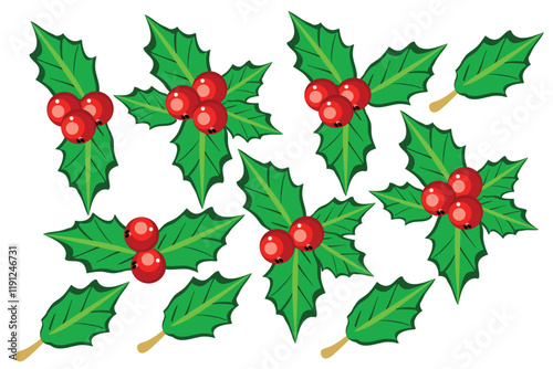 Holly berry leaves Christmas decoration isolated on white background