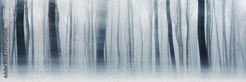 Blurry image of a winter forest small snowdrifts