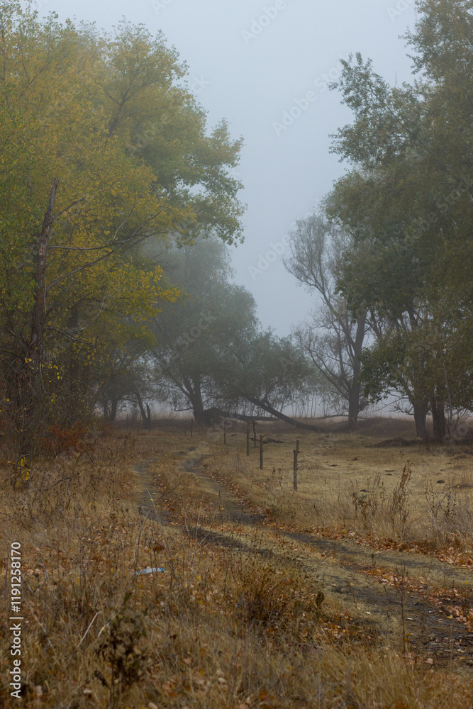Trees in a field in fog. Boguchar village Trees in a field in fog. Boguchar village