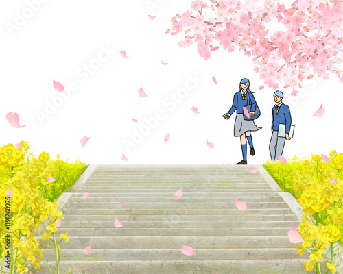 桜の木と菜の花咲く土手沿いを歩く学生男女ー土手に階段ー卒業入学ーベクターイラスト白バック背景素材