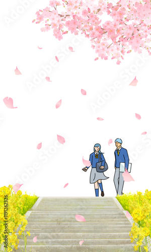 桜の木と菜の花咲く土手沿いを歩く学生男女ー土手に階段ー卒業入学ー縦型ベクターイラスト白バック背景素材