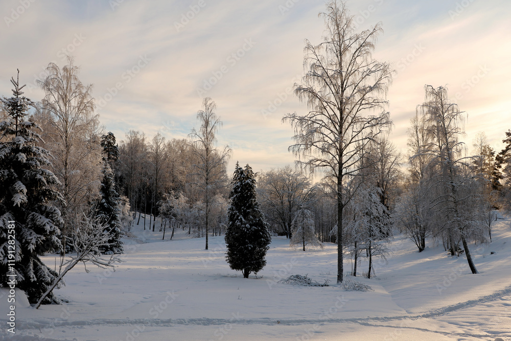 Fototapeta premium Winter