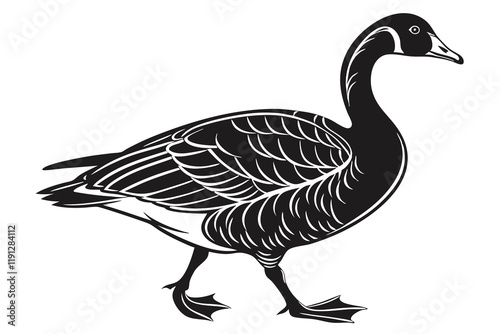goose isolated on white