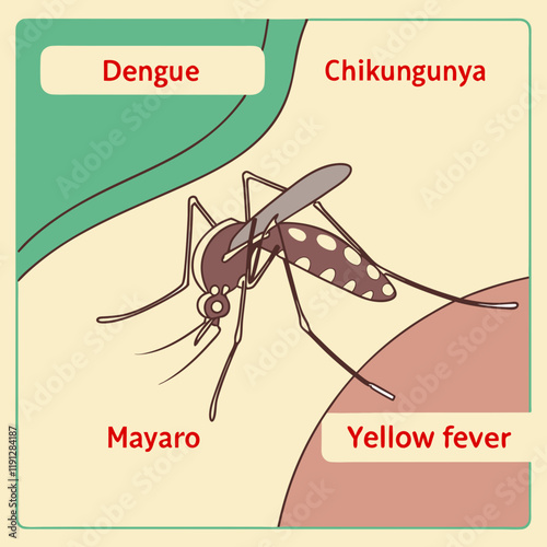 illustration of Zica virus aedes aegypti mosquito on human skin - Dengue, Chikungunya, Mayaro, Yellow fever
