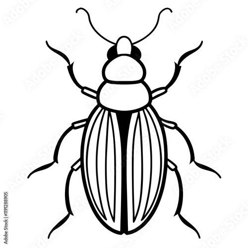 Beetle line art vector illustration 
