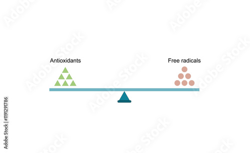 Redox homeostasis, equilibrium between antioxidant and oxidant levels. Vector scientific illustration.	
