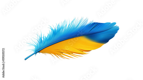 a colorful parrot feather isolated on a transparent background