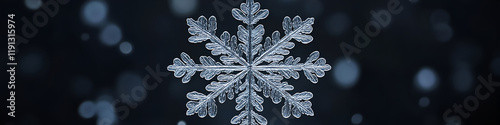 A beautiful snowflake icon with finely branching, symmetrical arms, looking like frozen lace with every detail perfectly captured photo