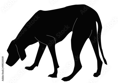 chien