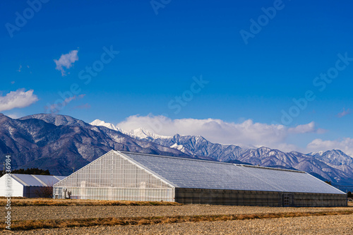冬の美しい北アルプスと農業地帯