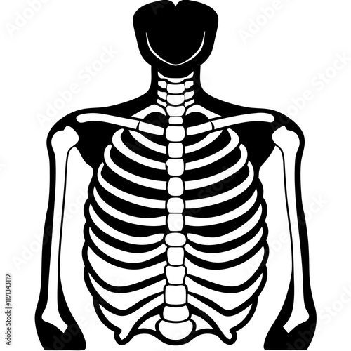 X-Ray on white background
