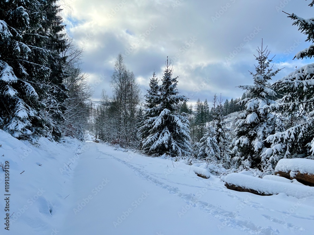 Eine Wanderung um Riefensbeek vorbei am Eleonorenblick und dem Knochenplatz Eine Wanderung um Riefensbeek vorbei am Eleonorenblick und dem Knochenplatz
