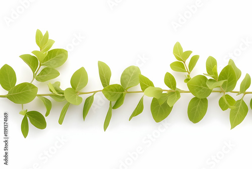 Fresh green plant sprig isolated on white background, perfect for spring or nature designs