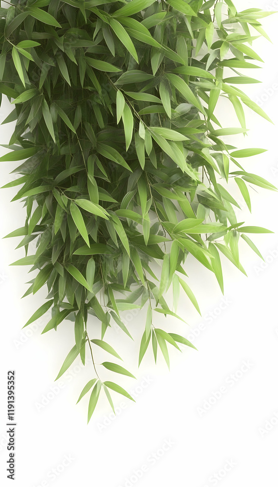 Obraz premium Lush green bamboo leaves cascading down, isolated on white background, ideal for design elements or natural backgrounds