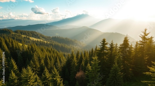 panorama of the mountains in autumn