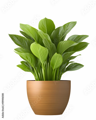 Lush green peace lily in a brown pot, isolated on white background, ideal for home decor or website design