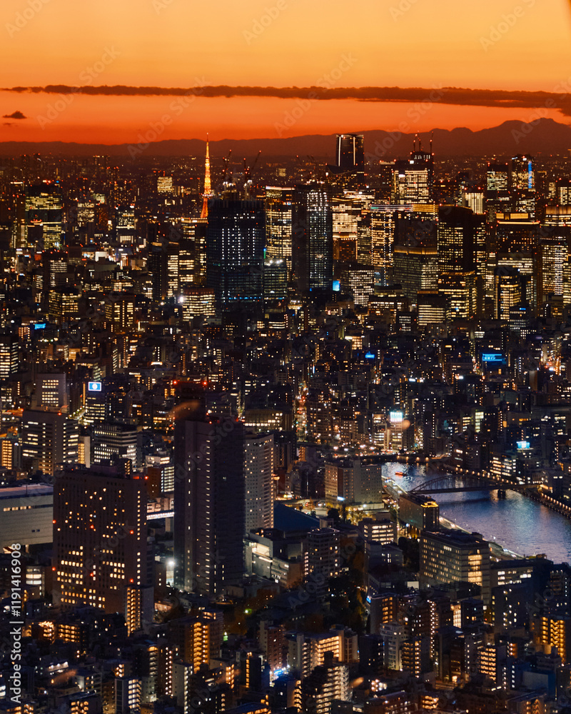 Fototapeta premium Tokyo, Japan