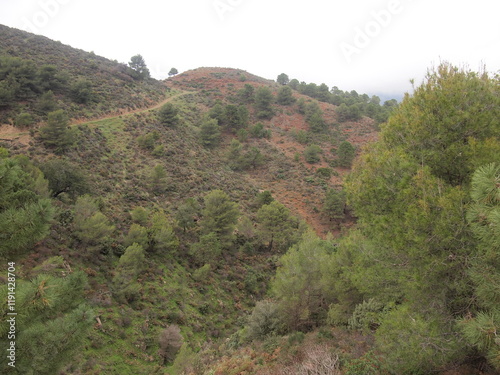 Sendero Río de los Horcajos (Tolox, Province of Málaga, Andalusia, Kingdom of Spain) photo