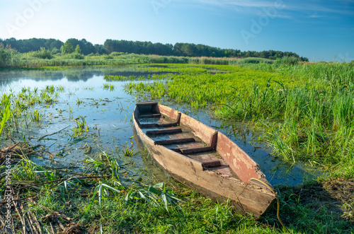 boat in a high cane on the bank of lake