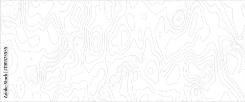 abstract Vector geography landscape Topo contour map on white background, Topographic contour lines. Seamless pattern with lines Topographic map. 