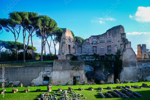 Photography View of the Roman Forum, Palatine Hill