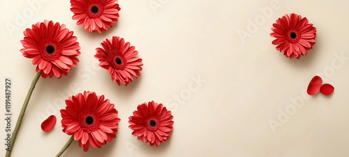 beautiful composition with red poppies on color background