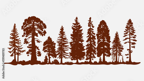 Majestic Redwood Trees Silhouetted Against the Sky at Sunset