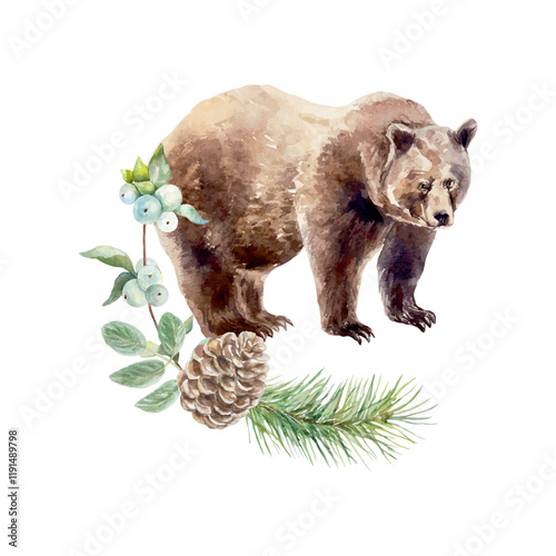 Brown bear watercolor. Fir branch, cone, berry sprig. Hand drawn vector illustration. Cards, invitations, posters, banners, wildlife protection day.