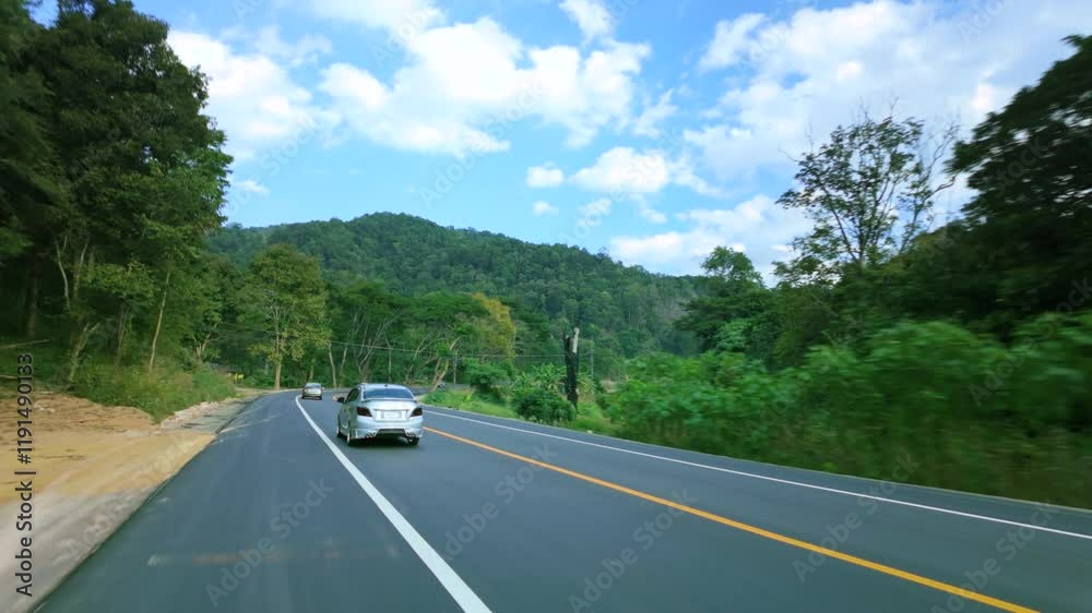 Car on Road Turning Into Curve in Scenic Forest Car on Road Turning Into Curve in Scenic Forest
