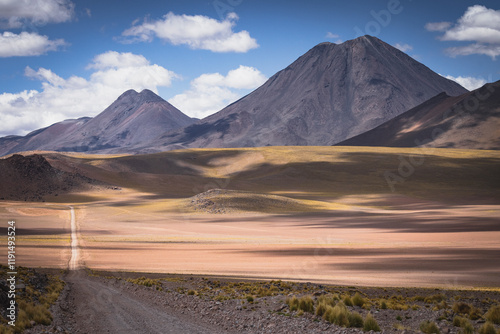 Entorno del desierto de Atacama y lagunas Altiplánicas