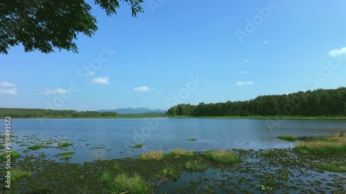 landscape with lake