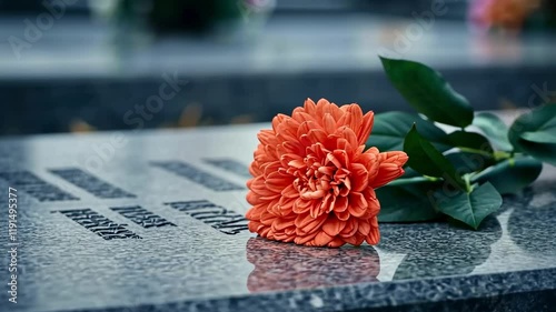 Vibrant orange flower on gravestone: symbol of remembrance and tribute