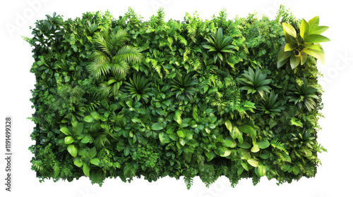 Green plant wall panel transparent background