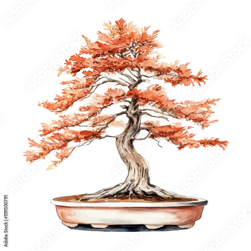 A watercolor illustration of a dawn redwood bonsai, isolated on a white background. Dawn Redwood Bonsai vector.
