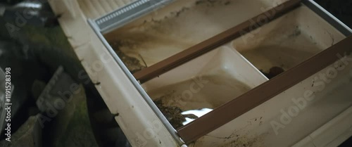 Water dripping into the ruins