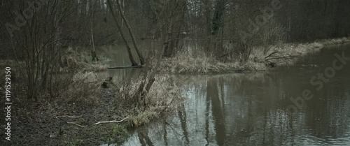 The bank of a forest river in autumn